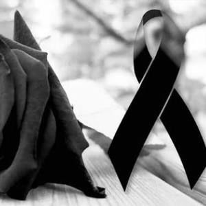 Meet your Posher, Jan carlo